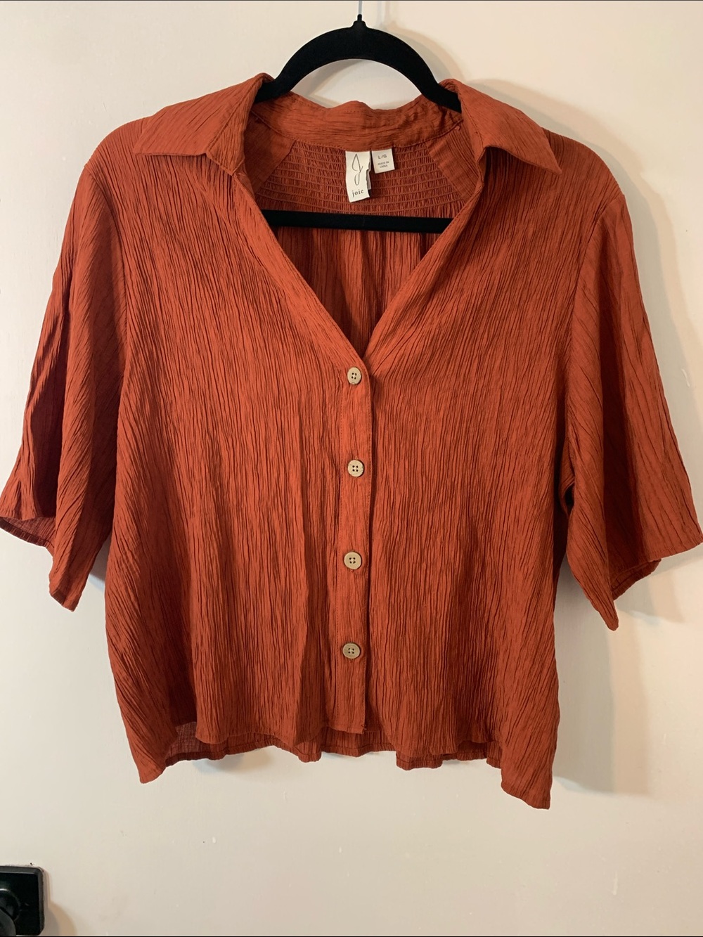 Joie Rust Crinkled Button-Front Short Sleeve Shirt Cropped Sz L